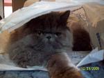     
: 100_1044 1.jpg
: 12
:	79.1 
ID:	253780