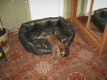     
: IMG_31711.jpg
: 31
:	182.1 
ID:	2541917
