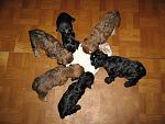     
: IMG_3122.jpg
: 32
:	140.6 
ID:	2541918