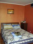     
: SA404809-1.jpg
: 710
:	59.7 
ID:	254798