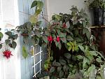     
: Фото0267.jpg
: 23
:	126.4 
ID:	2548926