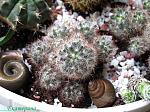     
: IMG_2647.jpg
: 12
:	147.0 
ID:	2549414