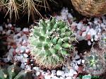     
: IMG_2651.jpg
: 12
:	132.3 
ID:	2549424