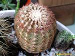     
: IMG_2652.jpg
: 10
:	122.7 
ID:	2549428