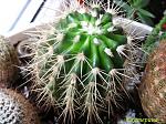     
: IMG_2654.jpg
: 11
:	156.4 
ID:	2549440