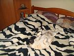     
: DSC05658.jpg
: 88
:	144.8 
ID:	2550292