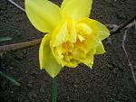     
: S4024604.jpg
: 14
:	120.2 
ID:	2552343