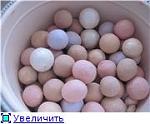     
: e0ec4e134877t.jpg
: 31
:	6.4 
ID:	2553571