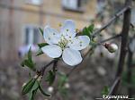     
: IMG_2724.JPG
: 14
:	192.6 
ID:	2553599
