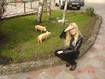     
: DSC06802 - копия.jpg
: 352
:	214.7 
ID:	2553795