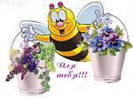     
: radionetplus_ru_mini_151.jpg
: 8
:	47.2 
ID:	255408