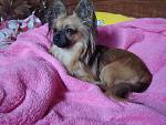     
: DSC08249.jpg
: 20
:	183.5 
ID:	2555169