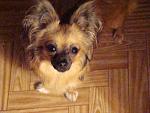     
: DSC08217.jpg
: 17
:	187.7 
ID:	2555170