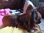     
: DSC08247.jpg
: 18
:	171.6 
ID:	2555171