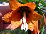     
: IMG_2750.JPG
: 11
:	276.0 
ID:	2558056