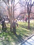     
: IMG0033A.jpg
: 54
:	209.9 
ID:	2561162