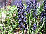     
: IMG_2761.jpg
: 15
:	135.5 
ID:	2562940