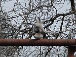     
: DSC00259.JPG
: 27
:	84.0 
ID:	25632