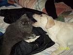     
: 100_1059 1.jpg
: 24
:	100.5 
ID:	256345