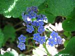     
: IMG_2773.JPG
: 24
:	274.2 
ID:	2567897
