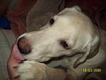     
: 100_1031 1.jpg
: 154
:	85.0 
ID:	256816