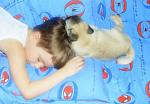     
: x_90dafeee.jpg
: 62
:	42.3 
ID:	256844
