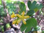     
: IMG_2797.JPG
: 12
:	265.7 
ID:	2570265