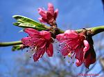     
: IMG_2806.JPG
: 16
:	253.1 
ID:	2570268
