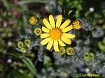     
: IMG_2800.JPG
: 11
:	246.8 
ID:	2570276