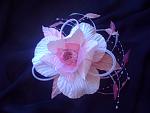     
: PICT0005.jpg
: 27
:	79.7 
ID:	2570667