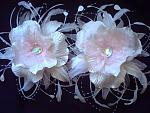     
: PICT0002.jpg
: 26
:	140.8 
ID:	2570675
