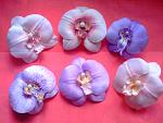     
: PICT0027.jpg
: 56
:	122.3 
ID:	2570683