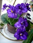     
: P1030431-2.jpg
: 22
:	151.0 
ID:	2572472