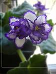     
: P1030425-2.jpg
: 21
:	110.8 
ID:	2572473