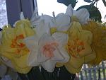     
: Фото023.jpg
: 28
:	138.6 
ID:	2573288