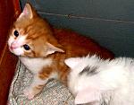     
: IMG_0547.jpg
: 40
:	93.4 
ID:	2573759