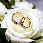     
: homepage.jpg
: 9
:	26.3 
ID:	2574004