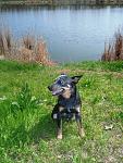     
: P4250890.jpg
: 25
:	175.7 
ID:	2578926
