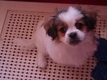     
: P4260619.jpg
: 23
:	90.7 
ID:	2582858