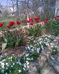     
: Фото016.jpg
: 28
:	176.6 
ID:	2583805