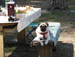     
: IMG_1417.jpg
: 63
:	182.7 
ID:	2585262
