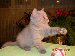     
: DSCN2624.JPG
: 25
:	232.5 
ID:	2585269