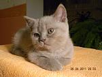     
: DSCN2643.JPG
: 23
:	233.8 
ID:	2585279