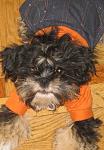     
: IMG_0493!!!.jpg
: 74
:	61.8 
ID:	258583