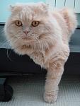     
: DSC06970.jpg
: 14
:	75.3 
ID:	2586134