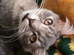     
: IMG_2065.jpg
: 85
:	173.3 
ID:	2591677