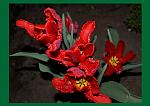     
: nit6.jpg
: 14
:	92.1 
ID:	2596106