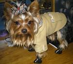     
: P10101095.jpg
: 41
:	121.2 
ID:	2597007