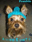     
: P101018.jpg
: 41
:	107.9 
ID:	2597008