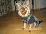     
: P1010111.jpg
: 32
:	124.8 
ID:	2597010